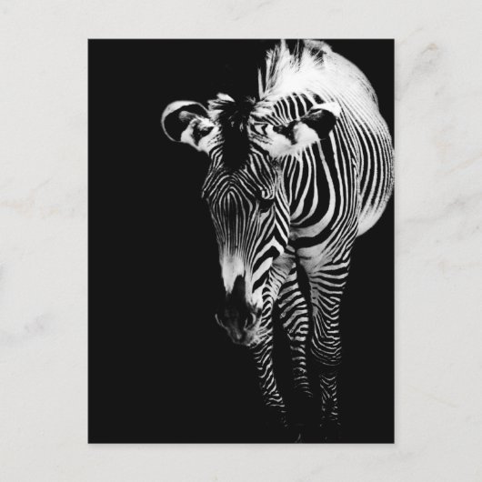 Die imperiale Postkarte (Vorderseite)