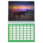 Die Impressionist-Schüsse: Ein Kalender durch Sean (Mär 2027)