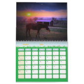 Die Impressionist-Schüsse: Ein Kalender durch Sean (Mär 2026)