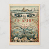 Die in Meer, Ein Aquarium | Carl Reinhardt Postkarte (Vorderseite)