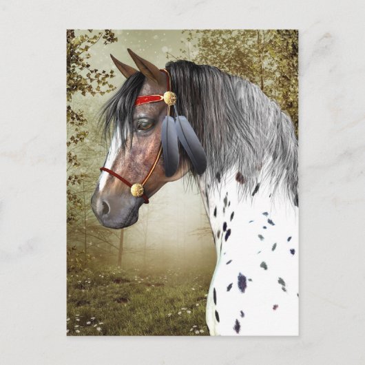 Die indische Pony Postcard Postkarte (Vorderseite)