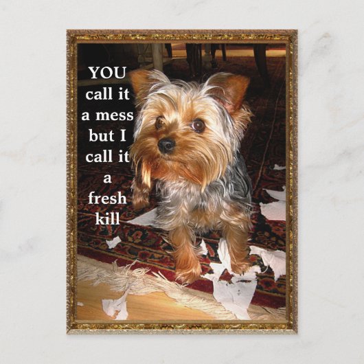 Die individuell anpassbare Shredder-Postkarte Postkarte (Vorderseite)