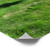Die Insel Benbecula (Beinn nam Fadhla) Poster (Ecke)