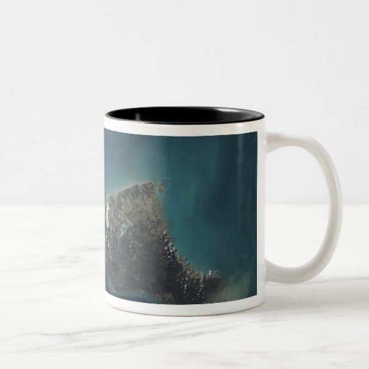 Die Insel der Bahamas-Andros Zweifarbige Tasse (Rechts)
