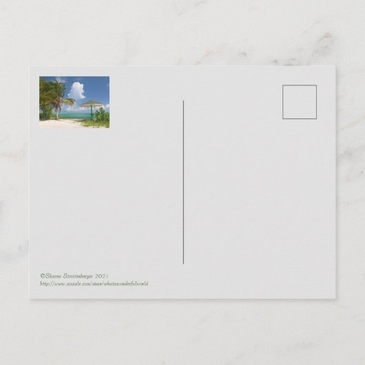 DIE INSELN WARTEN/TURKS UND CAICOS INSELN POSTKARTE (Rückseite)