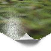 Die Inspiration der Natur Motivierend Fotodruck (Ecke)