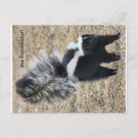 Die Instinkator-Skunk-Postkarte