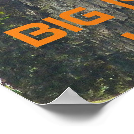 Die "Io BIG ISLAND HAWAII Poster (Ecke)