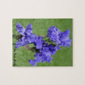 Die Iris-Dame Foto Puzzles und Zinn (Horizontal)