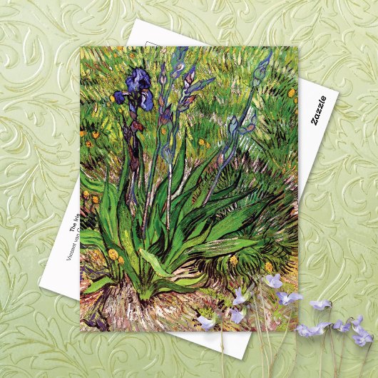 Die Iris-Landschaft Vincent van Gogh Postkarte