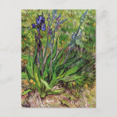 Die Iris-Landschaft Vincent van Gogh Postkarte (Vorderseite)