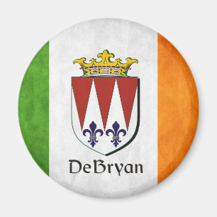 Die irische Flagge DeBryan Magnet