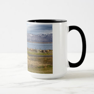 Die isländische Werft Tasse