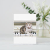 Die Ivorys Kitten kitzeln Postkarte (Stehend Vorderseite)