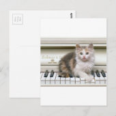 Die Ivorys Kitten kitzeln Postkarte (Vorne/Hinten)