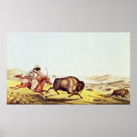 Die Jagd auf das Buffalo Poster (Vorne)