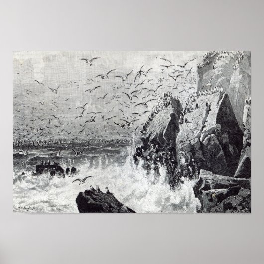 Die Jagd auf die Golfstaaten Poster (Vorne)