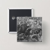 Die Jagden von Maximilian, Steinbock Button (Vorne & Hinten)
