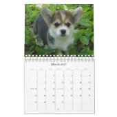 Die Jahreszeiten, 2012 Kalender (Mär 2027)