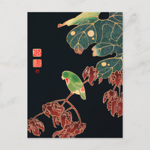 Die japanische Abbildung des Paroquet-Buntbarts Postkarte