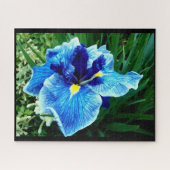 DIE JAPANISCHE IRIS-BLUME PUZZLE (Horizontal)