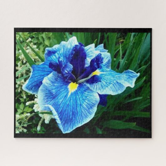 DIE JAPANISCHE IRIS-BLUME PUZZLE (Horizontal)