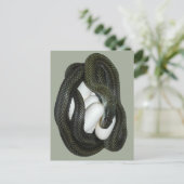 Die japanische Ratten-Schlange, schönes und Postkarte (Stehend Vorderseite)