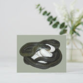 Die japanische Ratten-Schlange, schönes und Postkarte (Stehend Vorderseite)