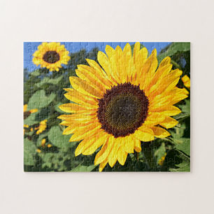 Die Jigsaw-Puzzle-Fabrik Songbirds Sonnenblume, Fl Puzzle