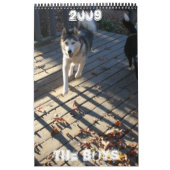 Die Jungen Kalender (Titelbild)