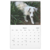 Die Jungen Kalender (Mär 2027)