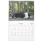 Die Jungen Kalender (Feb 2026)