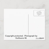 Die Jungfrau Mary Postkarte (Rückseite)