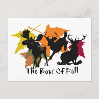 Die Jungs des Falles Postkarte