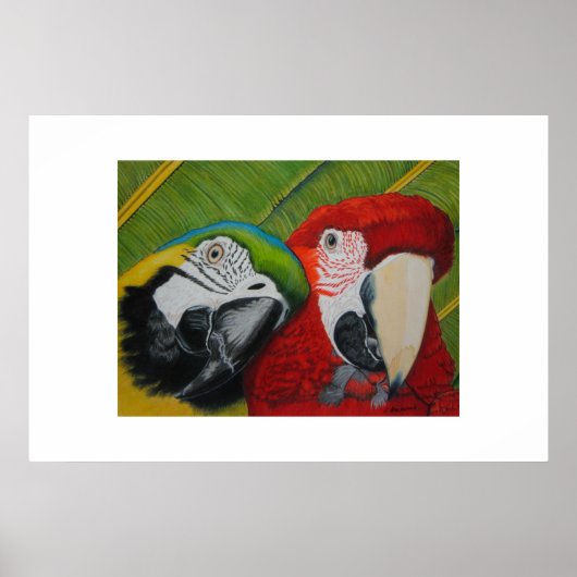 Die Jungs Poster (Vorne)