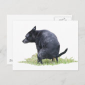 Die Kackend Hundeschwächter Postkarte (Vorne/Hinten)