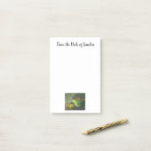 Die Kaffeebowl Kaffeebohnen aus dem Dampfbad Post-it Klebezettel (Auf Schreibtisch)