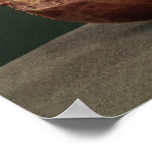 Die Kaiserorbe der Heiligen Römischen Kaiser Poster (Ecke)