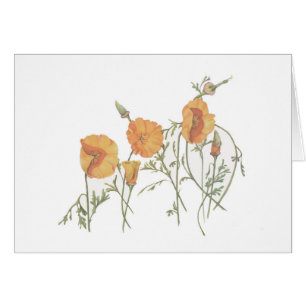 Die Kalifornien-Mohnblume 5" x 7" Karte, mit