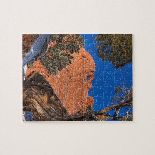 Die Kamele küssen gerahmt durch Baum 01 Puzzle (Horizontal)