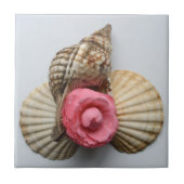 Die Kamelie und die Muscheln Fliese (Vorderseite)