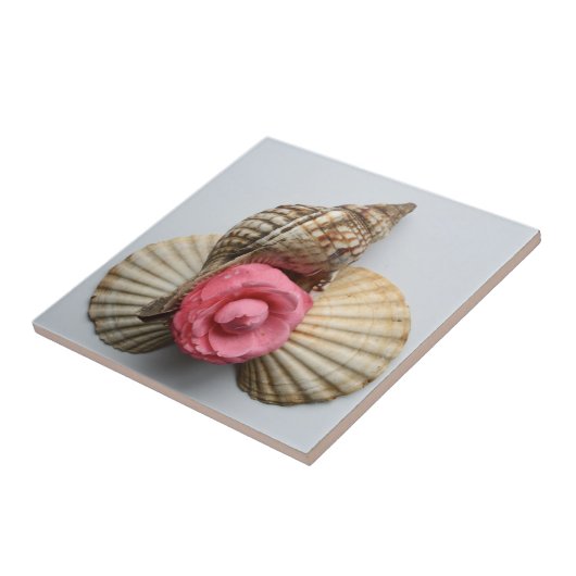 Die Kamelie und die Muscheln Fliese (Seite)