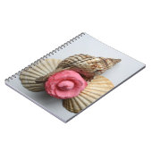 Die Kamelie und die Muscheln Notizblock (Linke Seite)