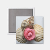 Die Kamelien und die Muscheln Magnet (Vorderseite/Rückseite)