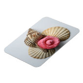 Die Kamelien und die Muscheln Magnet (Linke Seite)