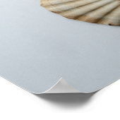 Die Kamelien und die Muscheln Poster (Ecke)