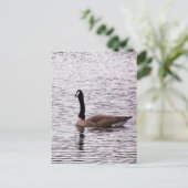 Die kanadische Postkarte (Stehend Vorderseite)