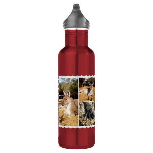 Die Kangaroo Bilderkollektion, Wasserflasche Edelstahlflasche (Rechts)