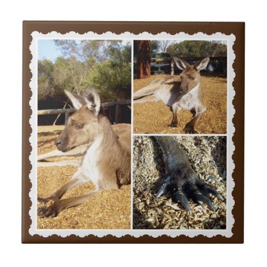 Die Kangaroo Bildkollektion, Keramik Tile Fliese (Vorderseite)