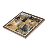 Die Kangaroo Bildkollektion, Keramik Tile Fliese (Seite)